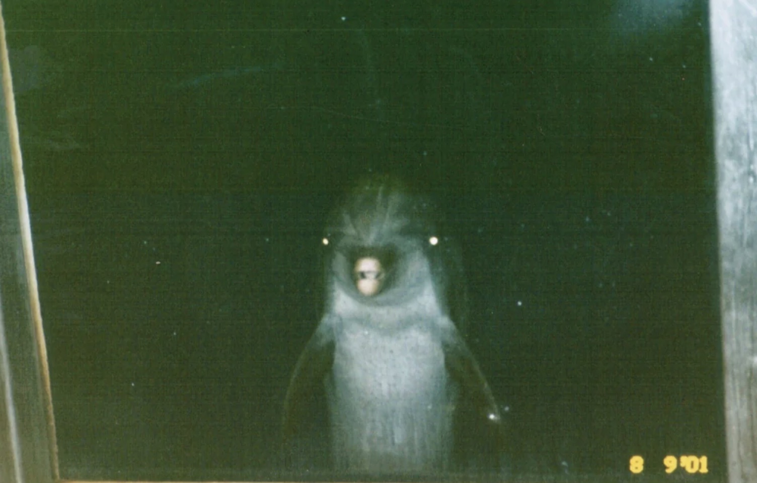 Pop-up Image